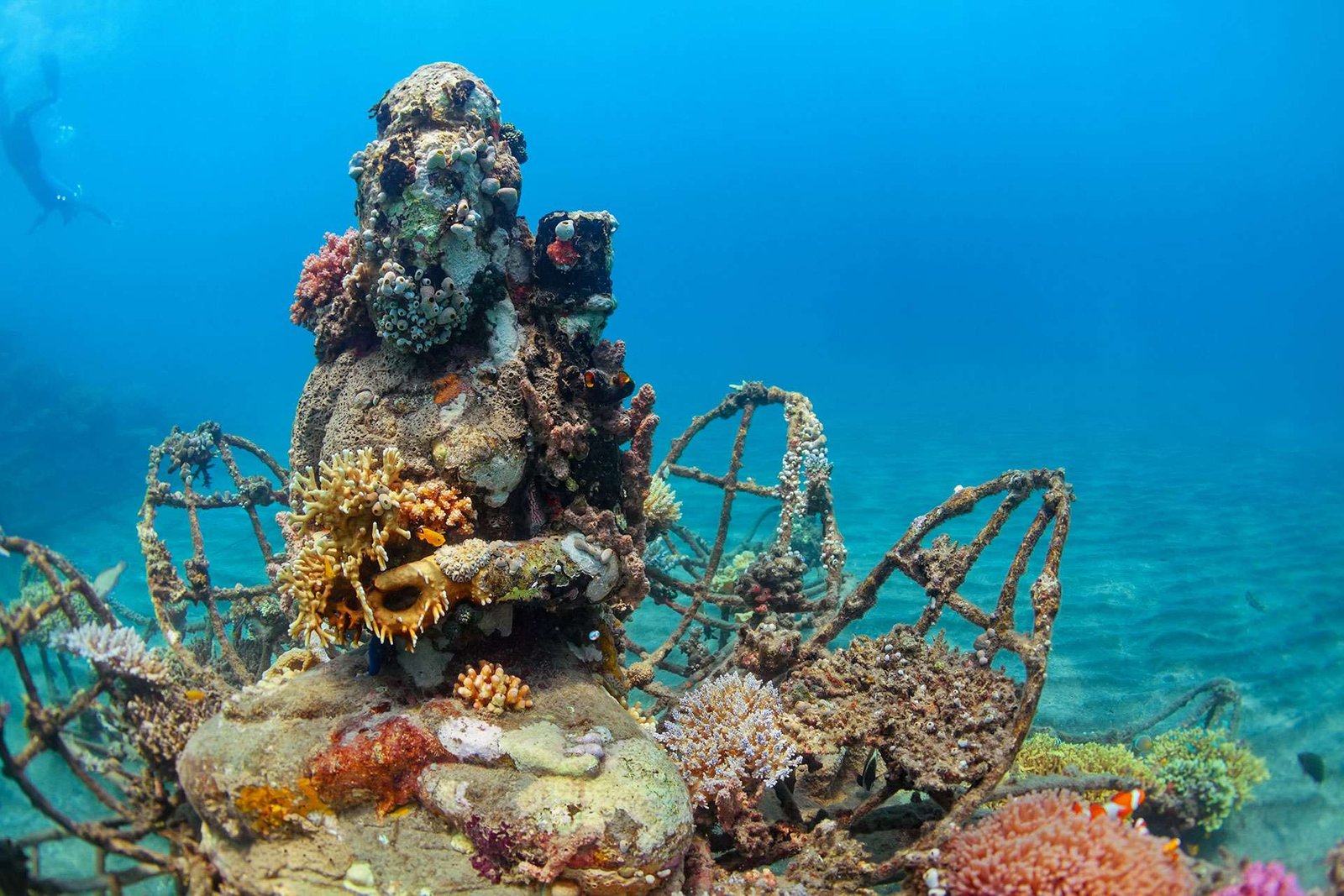 Exploring Underwater Wonders: Five Dive Destinations to Ignite Your Imagination